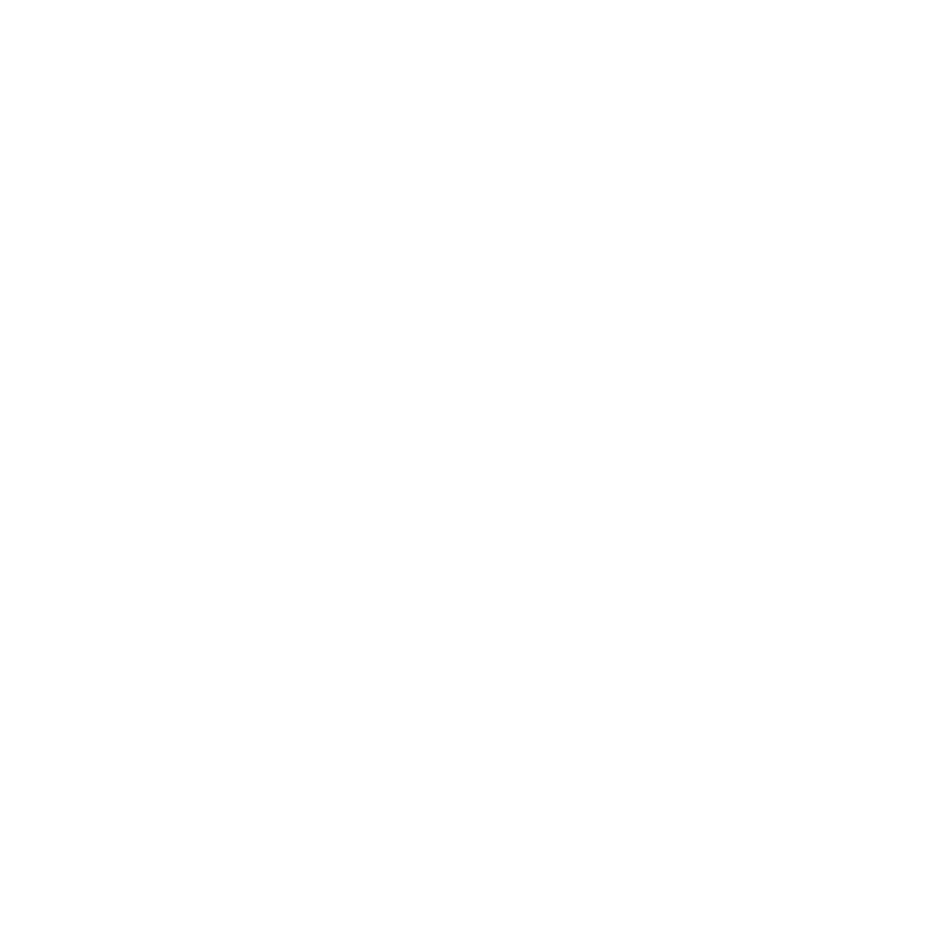 Votre Logo SNR-BE